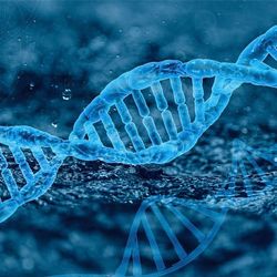 НЕДВИЖИМОСТЬ  В ИЗРАИЛЕ